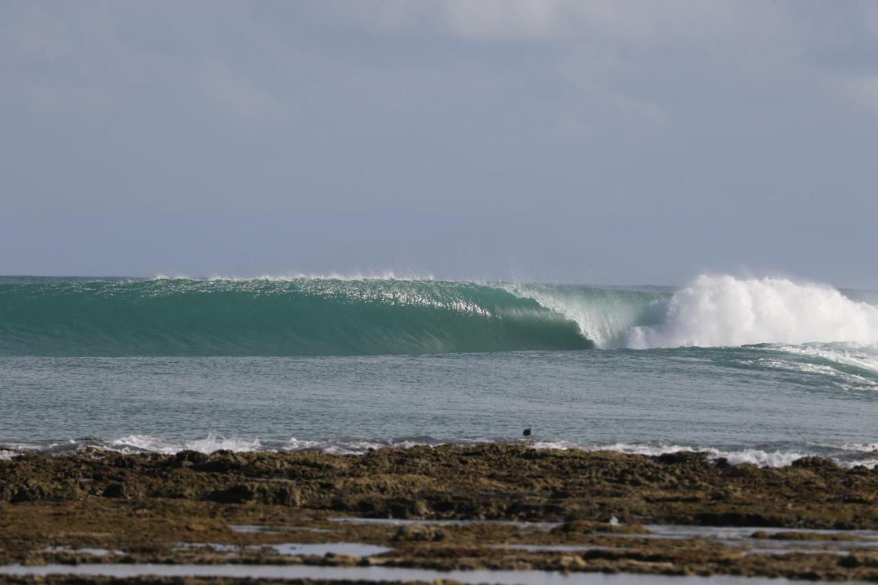 Oseda Nias Surf House Hotel Hilibotodane Exterior photo